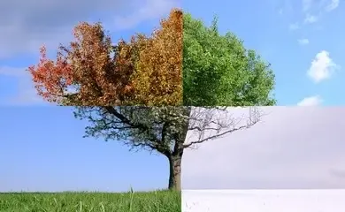 Seasonal Changes Blog Banner